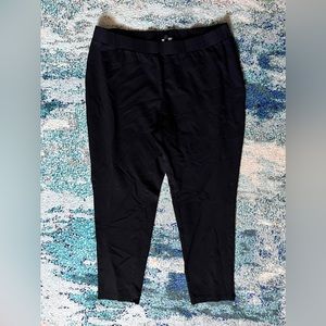 Premise stretch pull on skinny pants, size 2x
